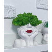 Гипсовое кашпо девочка со стабилизированным мхом SO Green 11см 00143