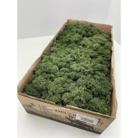 Стабилизированный норвежский мох высшего качества на солевой основе SO Green болотный 0,5 кг 0090